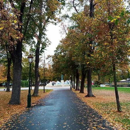 Rare A - Champ De Mars Vue Sur Parc - 70m2 - 2 * コルマール